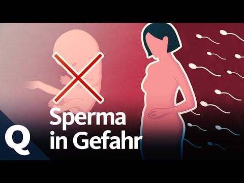 Schlechtes Sperma: Warum Kinder zeugen immer schwieriger wird | Quarks